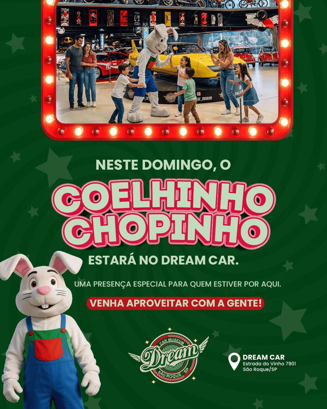Coelhinho Chopinho no Dream Car